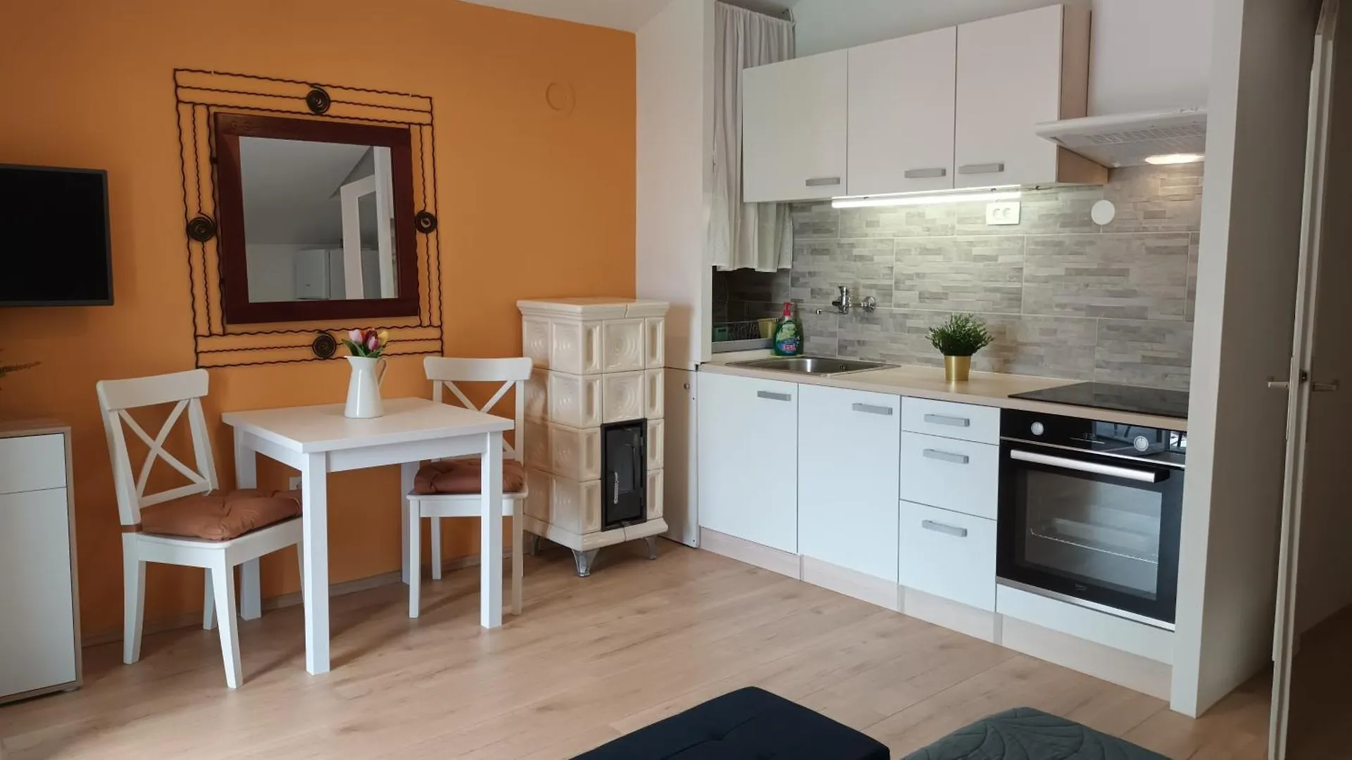 Апартаменты Sea View House Ровинь 0*,  Хорватия